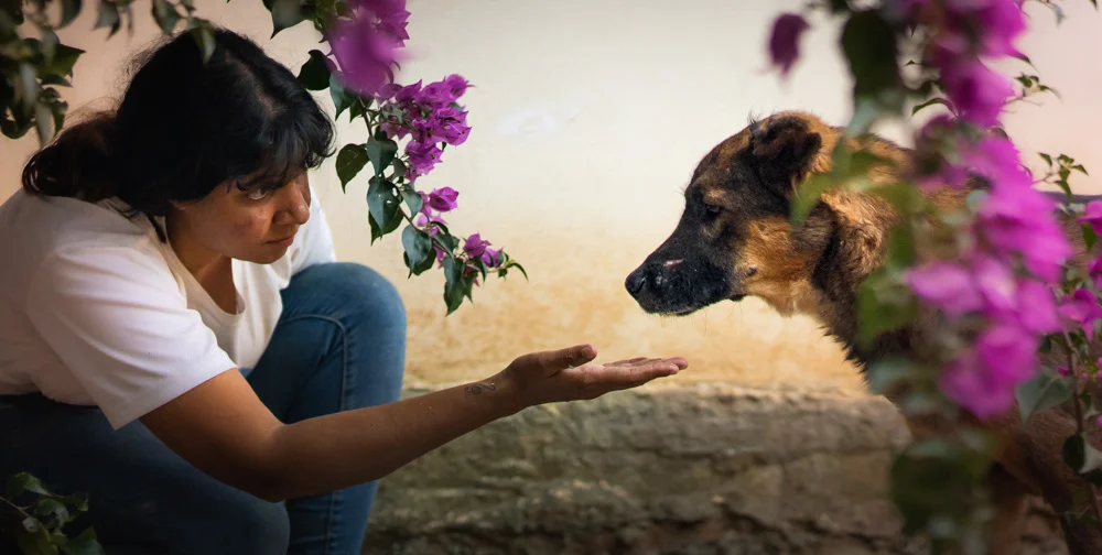 A dog with caregiver