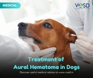 BLOG-POSTS-Medical-17-1