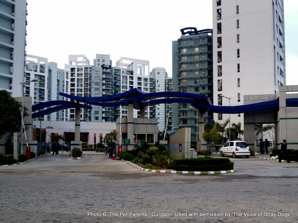 Pet Parents picture of the complex 2