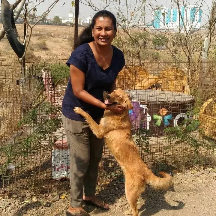 a dog playing at VOSD with caregiver 768