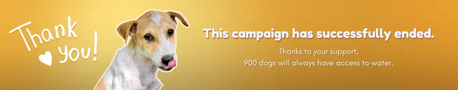 campaign banner end