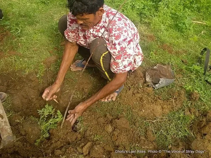 chotu 1 768
