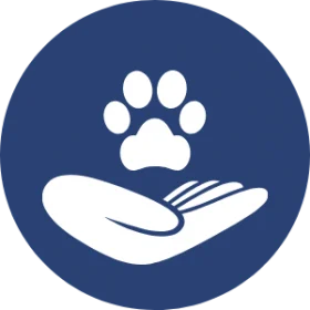 fundraising for dogs