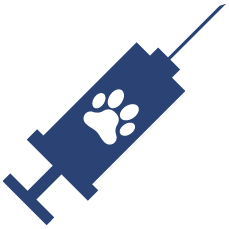 Icons 229