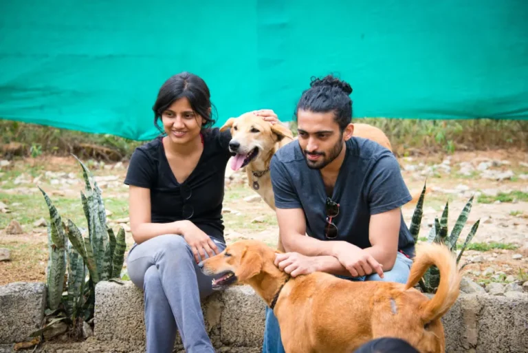 Vosd Safeplace 5 csr1