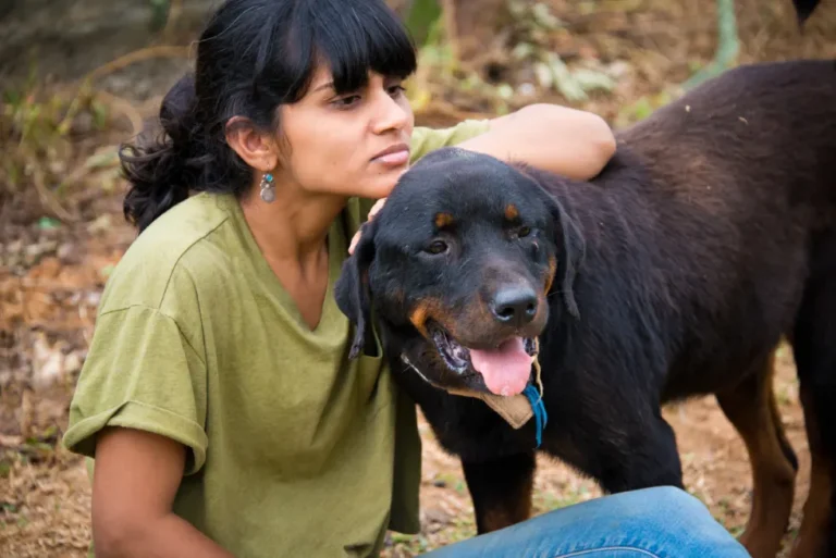 Vosd Safeplace 3 csr2