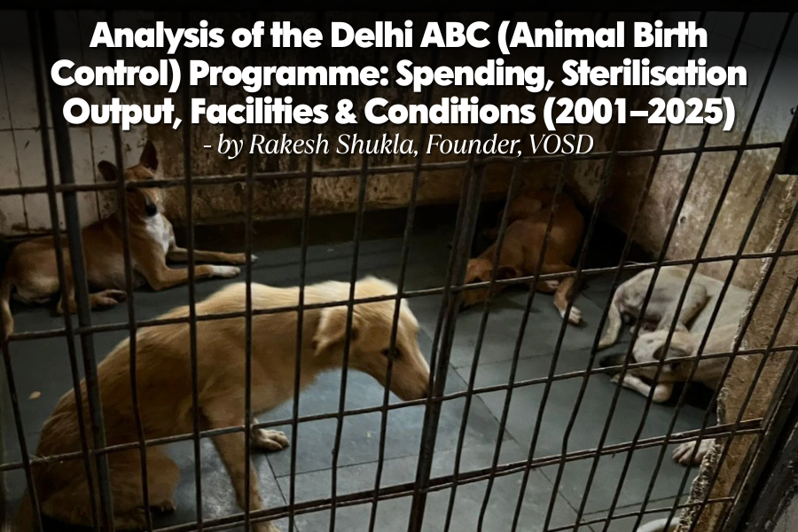 Analysis of Delhi ABC