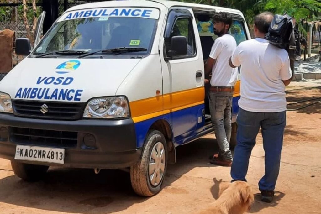 A Leading Dog Hospital - VOSD