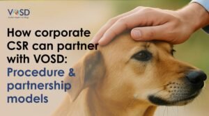 How CSR Partnerships with VOSD Support Animal Welfare in India