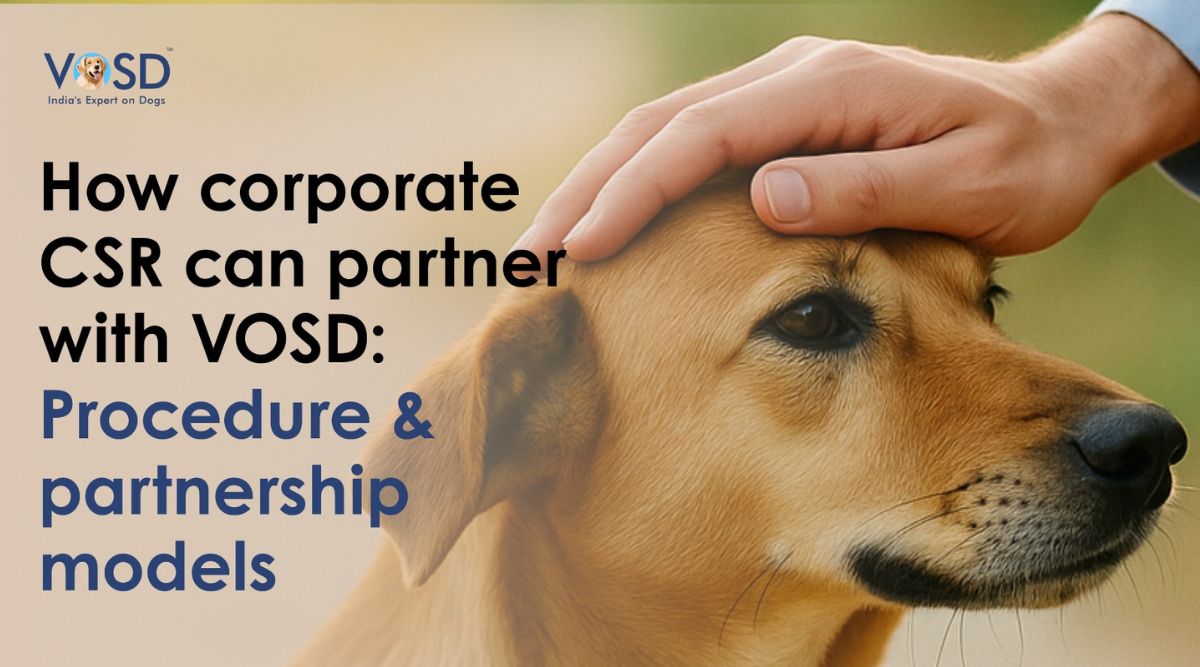 How CSR Partnerships with VOSD Support Animal Welfare in India