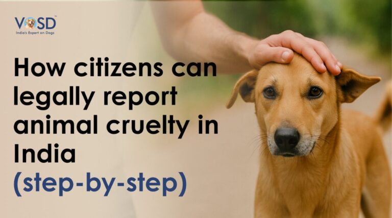 How citizens can legally report animal cruelty in India (step-by-step) VOSD guide