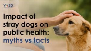 Blog 6 Stray Dogs and Public Health Myths vs Facts