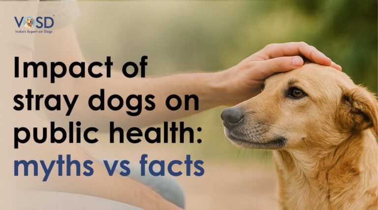Stray Dogs and Public Health Myths vs Facts