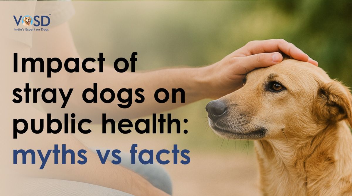 Stray Dogs and Public Health Myths vs Facts