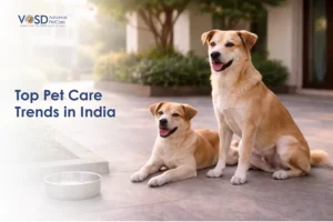 Blog 5 Top Pet Care Trends in India