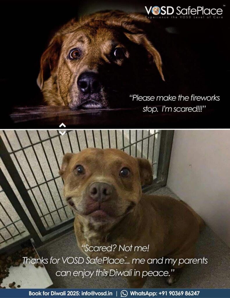 WhatsApp Image 2025 10 11 at 17.09.46 min