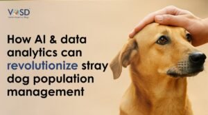 Blog 5 How AI & Data Analytics Can Revolutionize Stray Dog Population Management