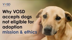 Why VOSD accepts dogs not eligible for adoption mission & ethics