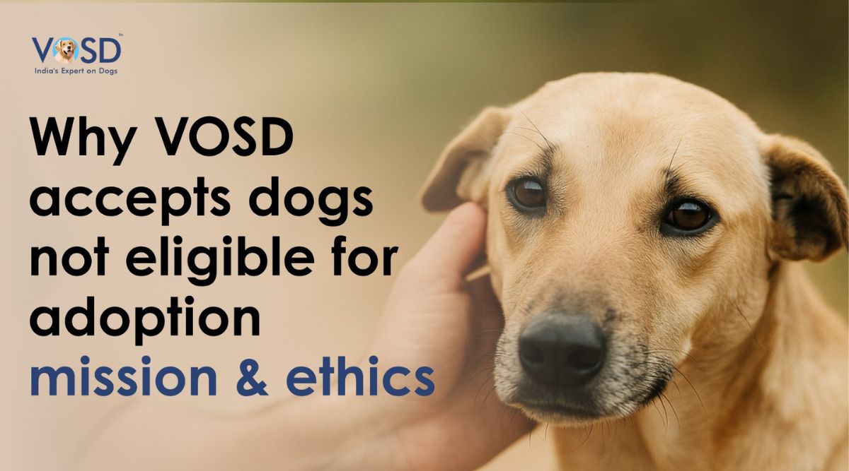 Why VOSD accepts dogs not eligible for adoption mission & ethics