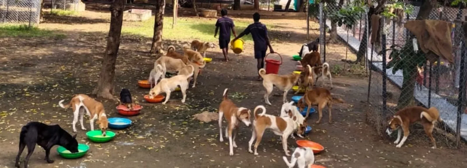 VOSD Monthly Expenses 1 VOSD Monthly Expenses