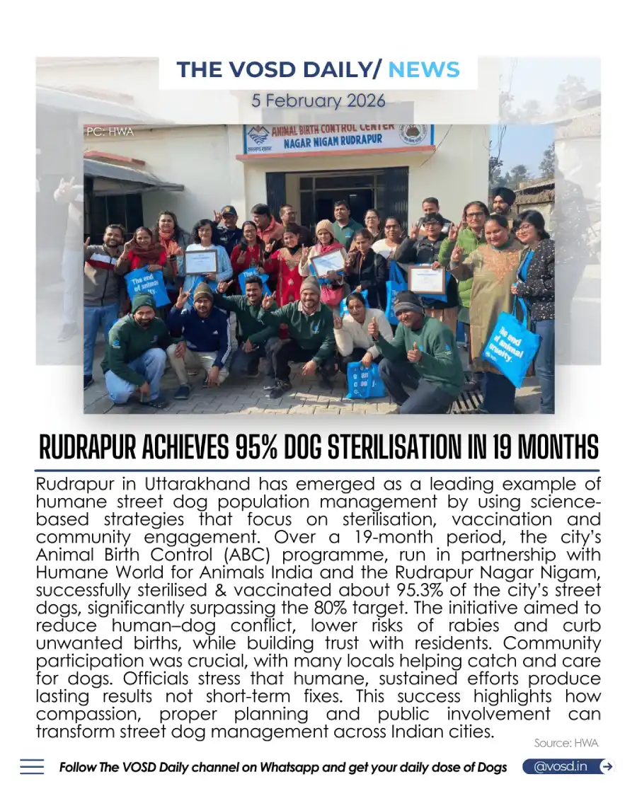 Rudrapur Achieves 95% Dog Sterilisation in 19 Months Rudrapur Achieves 95% Dog Sterilisation in 19 Months