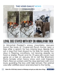 Blog 19 Loyal Dog Stayed With Boy on Himalayan Trek