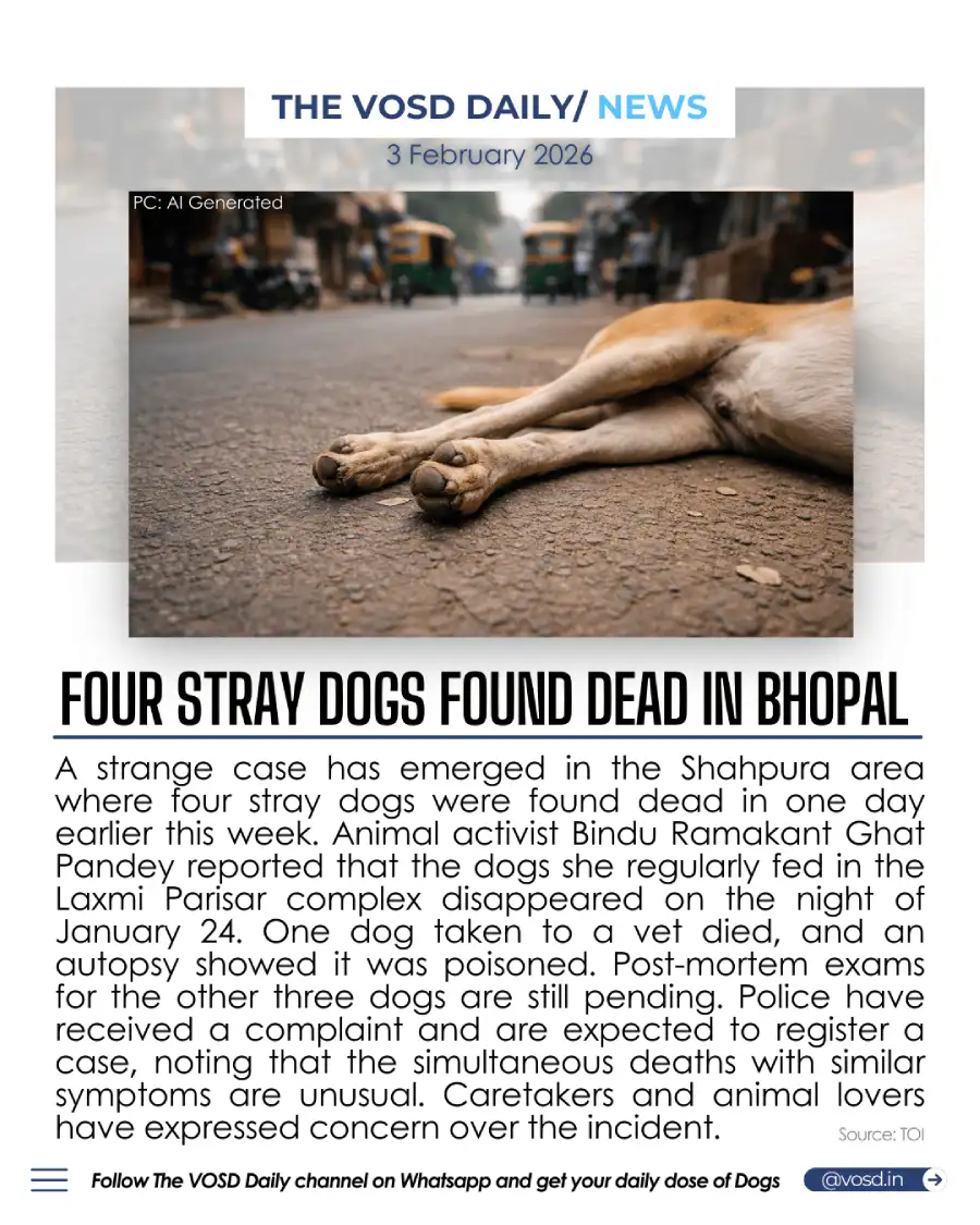 Four Stray Dogs Found Dead in Bhopal Four Stray Dogs Found Dead in Bhopal