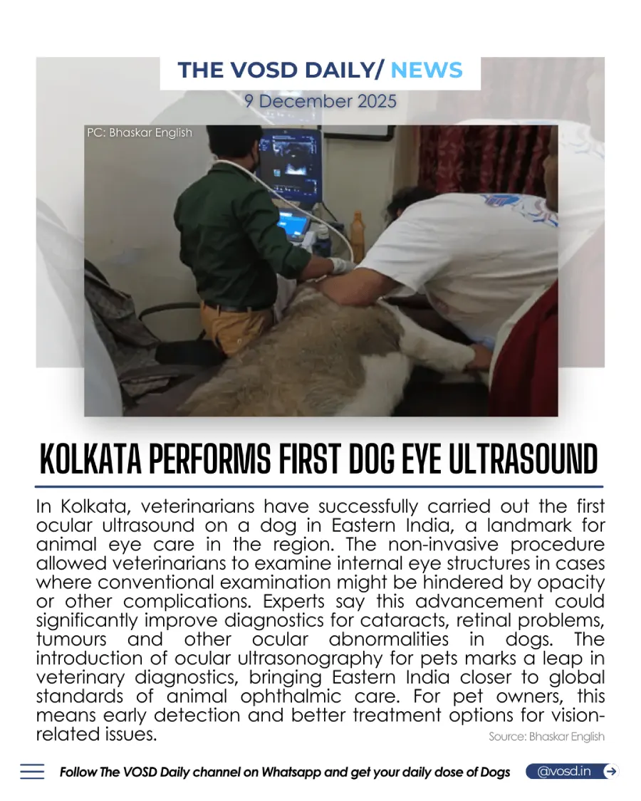 Kolkata Performs First Dog Eye Ultrasound Kolkata Performs First Dog Eye Ultrasound