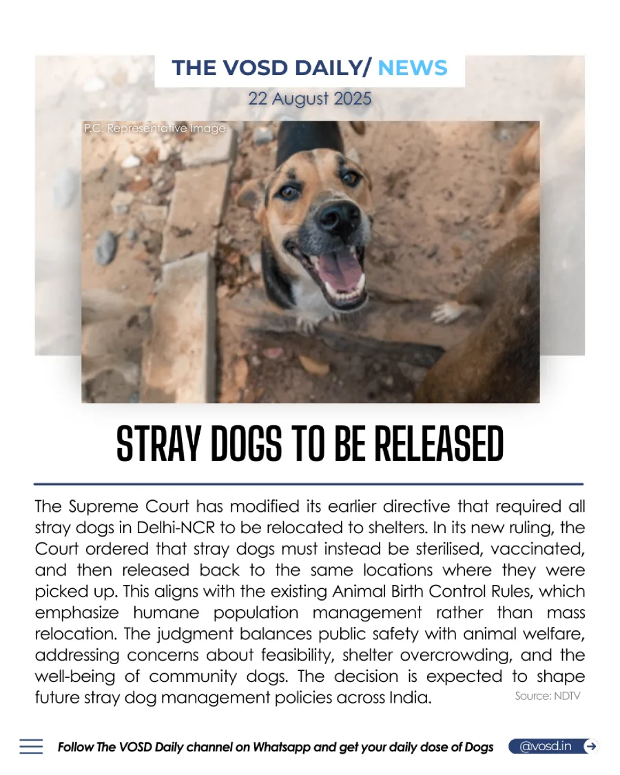 Delhi Verdict Delhi Verdict