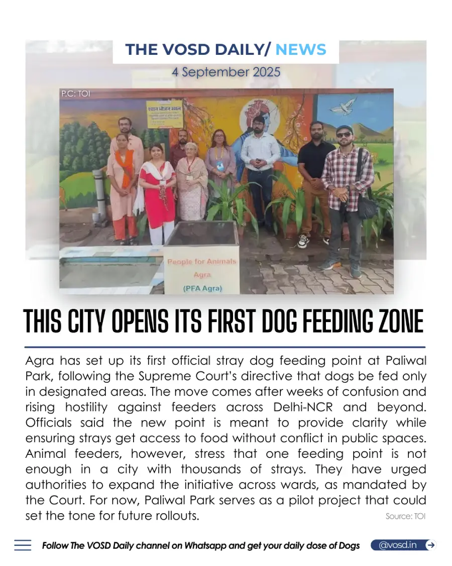 Agra Opens Its First Dog Feeding Zone Agra Opens Its First Dog Feeding Zone