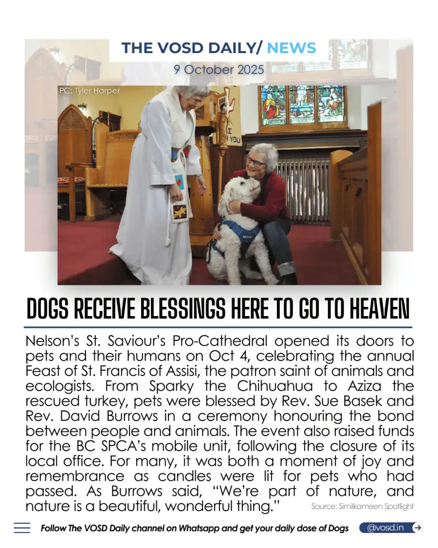 Church Hosts Pet Blessing Ceremony Honouring St. Francis Day Church Hosts Pet Blessing Ceremony Honouring St. Francis Day