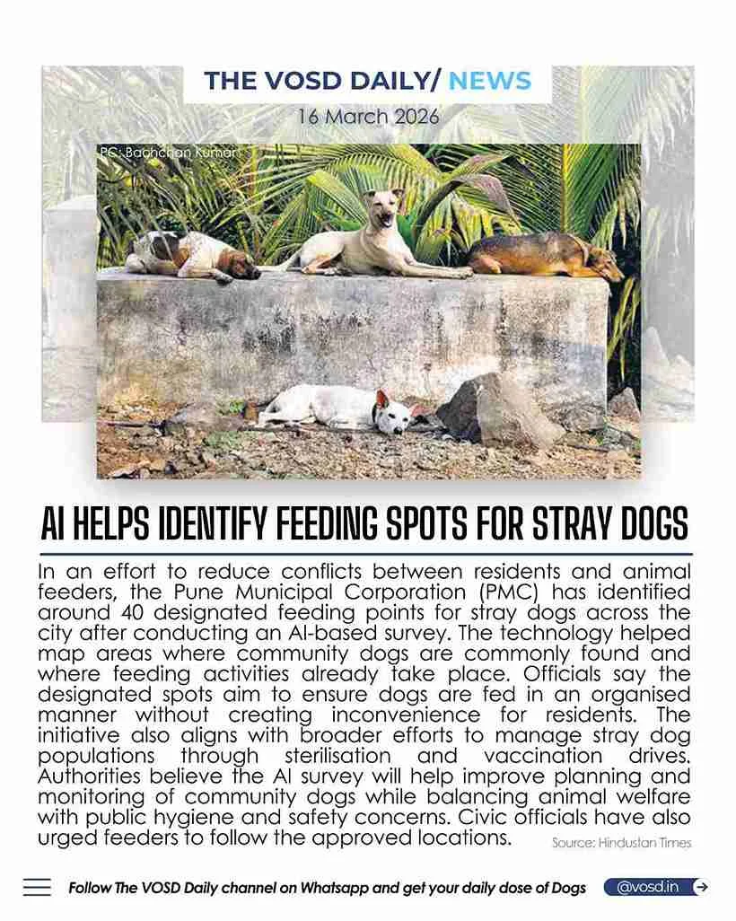 16m_4_11zon 16m_4_11zon