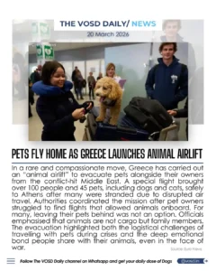 Blog 19 3 Dec 2 3 11zon