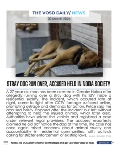 Blog 20 3 Dec 3 2 11zon