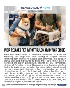 Blog 18 3 Dec 1 11zon