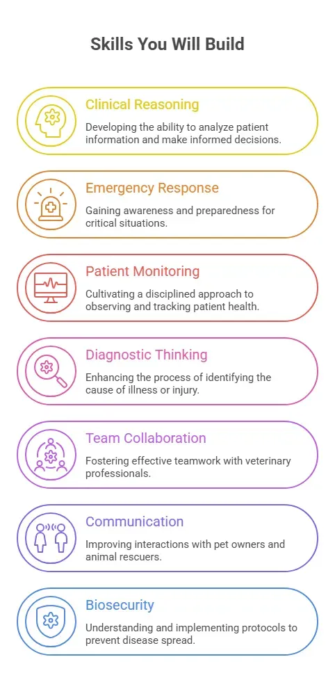 Skills You Will Build