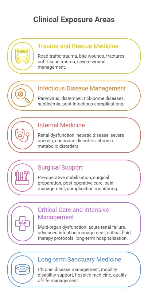 The Scale of Clinical Exposure