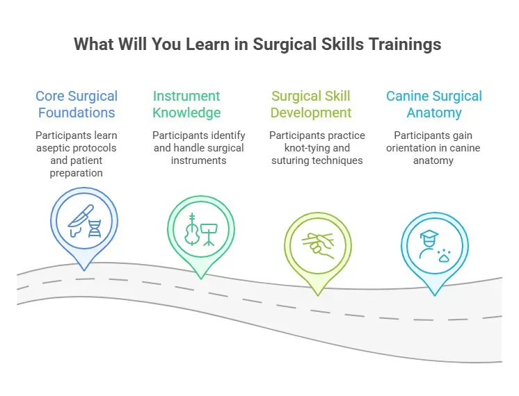 What You Will Learn in Surgical Skills Trainings