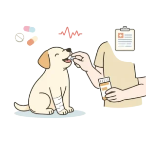 Administering medication to a calm dog