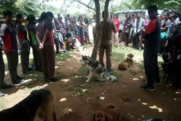 vosd volunteers vosd volunteers